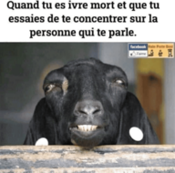 Avatar de l’utilisateur