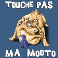 Avatar de l’utilisateur